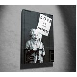 WALLXPERT WY32 (70 x 100) Multicolor Decorative Canvas Painting | Eponuda.ba