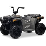 Beneo 11V Arctic Cat, kvad za djecu, sivi | Shoptok.si