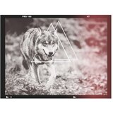  Tapeta - wolf - photo 350x270 | shoptok.hr