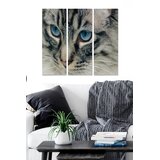 Wallity Set slika MDF164693, 3 dijela | Eponuda.ba