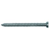 Fischer Vijak za prozorski okvir (112 mm, Ravna glava, Promjer provrta: 6 mm, 8 Kom.) Cijene