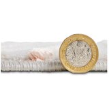 Think Rugs Rožnata/svetlo siva preproga 200x290 cm Apollo – | Shoptok.si