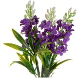 Casa Selección Umjetna lavanda 3 kom (visina 31 cm) – | shoptok.hr