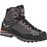 Salewa Muške planinarske cipele WS Crow GTX Smeđa Cijene