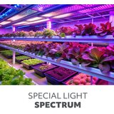  LED sijalica za rast biljaka PLANTY E27/9W/230V 1200K bela | Eponuda.com