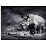  Tapeta - Rhinoceros lost in reverie 250x193 | shoptok.hr