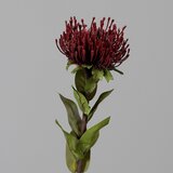 Ego Dekor Umjetna biljka (visina 74 cm) Protea – Cijene