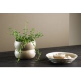 Venture Home tegla za biljke Dapne (art. 58151-102) ⌀16 cm Cijene