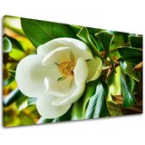  Slike na platnu cveće (moderne slike na platnu) | ePonuda.com