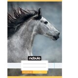 NEBULO Spenjeni zvezek A5 20-32 s prikupnim vzorcem - Konjički Cene