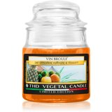 THD Italian Luxury Tropical Fruit dišeča sveča 100 g Cene