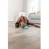 Trixie Teg za masažu desni - 15 cm | Eponuda.com