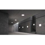  Steinel-LED prigušiva svetiljka sa senzorom RSPROR10PLUSSC 8,5W/230V IP40 4000K | Eponuda.com
