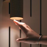 MAYTONI Stenska Svetilka Focus Design | Shoptok.si