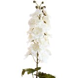 Light & Living Umetna rastlina (višina 80 cm) Delphinio – | Shoptok.si