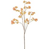 Mömax Kunstpflanze Ginkozweig I Braun/orange | Shoptok.si