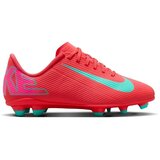 Nike Nogomet FQ8286800 pisana Cene