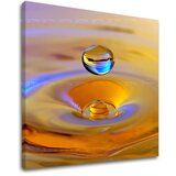  Zidna slika FENG SHUI 50x50 cm | shoptok.hr