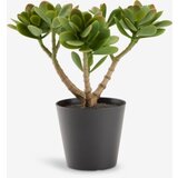  Veštačka biljka V23cm zelena | Eponuda.com