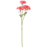 Atmosphera UMJETNO CVIJEĆE GERANIJA 69CM PES Slike