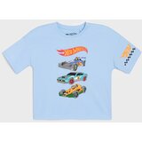 Sinsay Dvodijelna pamučna pidžama Hot Wheels | shoptok.hr