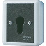 Jung ključno stikalo 16AX 250V 2-polno 806.28 G, (20859344) | Shoptok.si