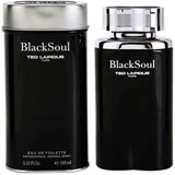 Ted Lapidus Black Soul toaletna voda za moške 100 ml | Shoptok.si