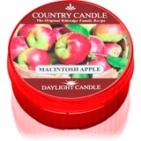 Country Candle Macintosh Apple čajna svijeća 35 g | shoptok.hr