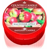 Country Candle Macintosh Apple čajna svijeća 35 g