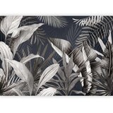  Foto tapeta - Nature Frozen in Time - Third Variant 250x175 | shoptok.hr