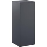  Stalak za biljke Antracit 40 x 40 x 100 cm Nehrđajući čelik | shoptok.hr
