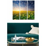 Wallity Set slika MDF96283649, 3 dijela | Eponuda.ba