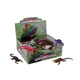 Magaza Kameleon gumeni menja boju | ePonuda.com