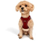 Paws & Whiskers Am za pse Air-Mesh, crvene | Eponuda.ba