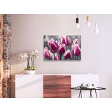  Slika za samostalno slikanje - Tulip Field 60x40 | shoptok.hr
