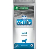 Farmina vet life dog joint 12 kg Cene