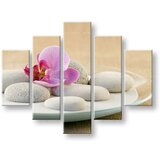  Slike na platnu 5-delne feng shui FS042E50 (moderne slike na) | shoptok.hr