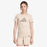 Jg animal t