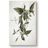  Slike na platnu biljke 012 (moderne slike na platnu) | ePonuda.com