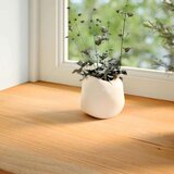  Okenske police 2 kosa svetlo rjava 100x15x2 cm trdna hrastovina, (5000208462) | Shoptok.si