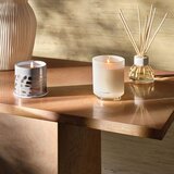 ILLUME x Bloomingville Difuzor Driftwood – | shoptok.hr