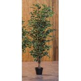  EUKALIPTUS 150CM 60270 | Eponuda.ba