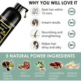 Smania Šampon za barvanje las InstaBlack™ (500 ml) | Shoptok.si