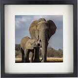 BD ART 3D okvir za predmete 30×30cm z globino 3 cm | Shoptok.si