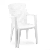 Stolica Arpa bijela