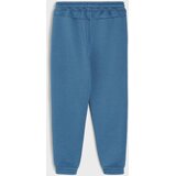 Sinsay Trenirka: sweatshirt majica i hlače s printom psa na skijama Slike