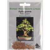 TROPICA Jabolčna guava Cene