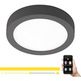 Eglo Argolis-c spoljna/zidna/plafonjera, led, 16,5w, 1600lm, prečnik 225, antracit | Eponuda.com