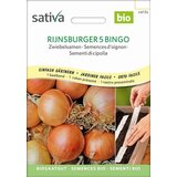 Sativa Semena čebule, Rijnsburger 5 Bingo semenski trak | Shoptok.si