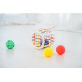 Edushape igračka Push & Roll | shoptok.hr